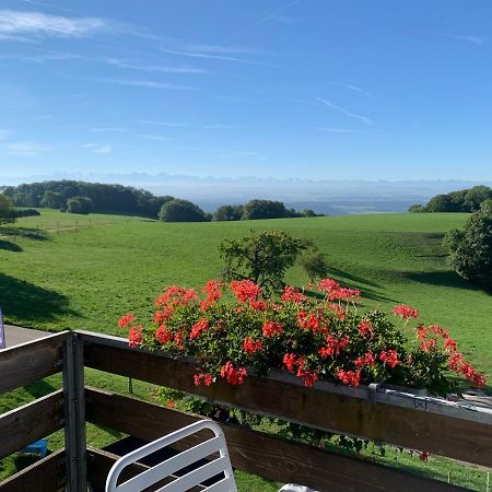 Hotel Restaurant Alpenblick Wolfisberg Экстерьер фото